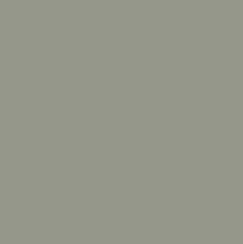 Sherwin Williams 2022 Color of the Year Evergreen Fog