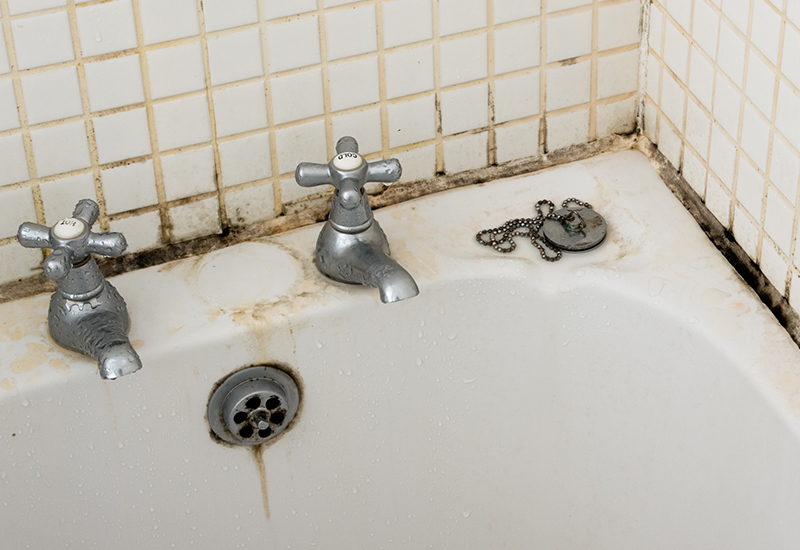 Shower mold in tile and grout stains