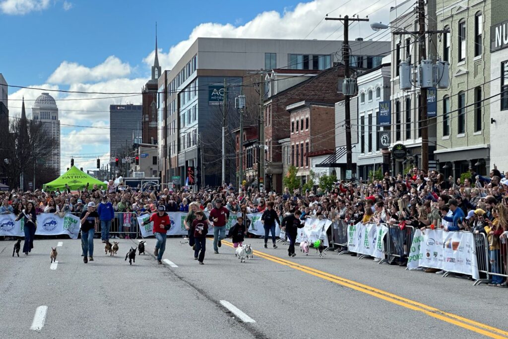 Improveit in Person: 2024 March Festivals & Home Shows