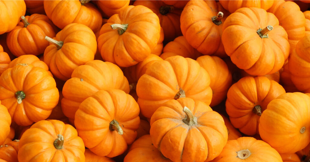 Improveit in Person: Fall Festivals & October Events Calendar