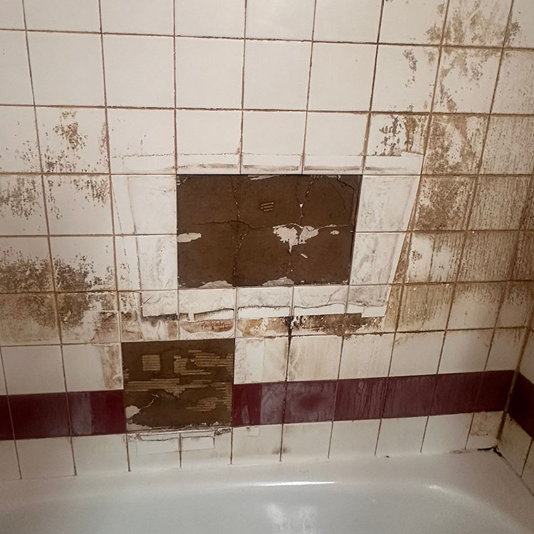 ugly shower tiles falling off the wall