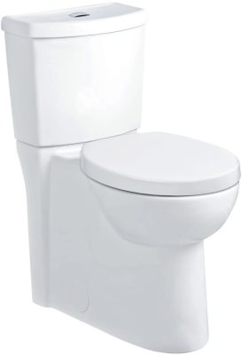 dual-flush toilet