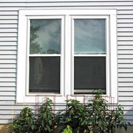 Best double-hung windows