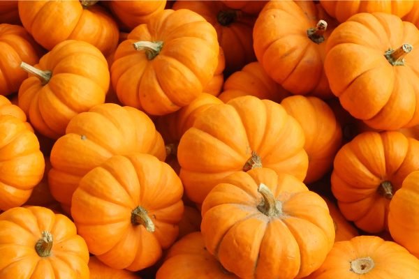 circleville pumpkin festival fall festivals in ohio