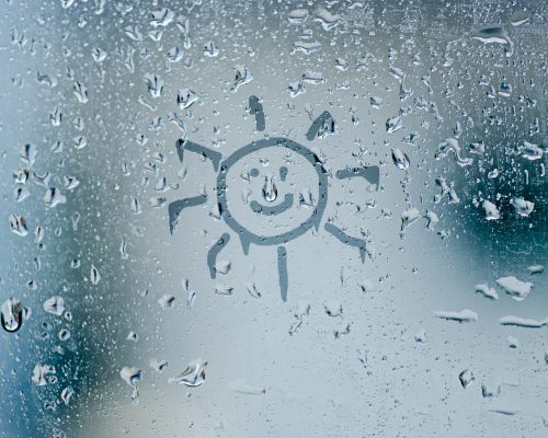 Window Condensation between window panes