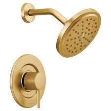 Gold Shower Fixture