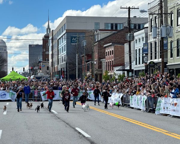 Nulu bock and wurst march festivals in louisville 2024
