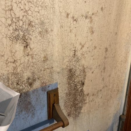 Moldy wall in a scary shower