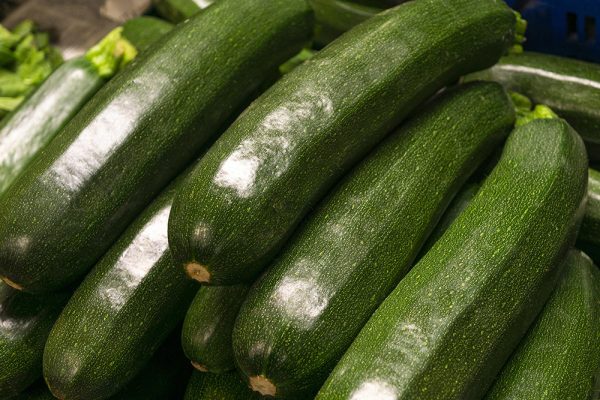 visit the obetz zucchini festival when looking for fairs and festivals in ohio